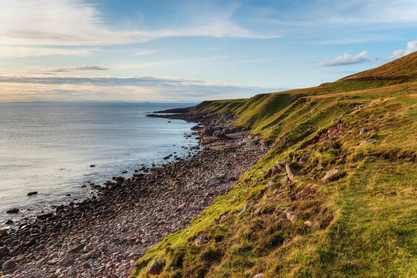 Les couleurs claires : comment les adopter pour une décoration raffinée ?