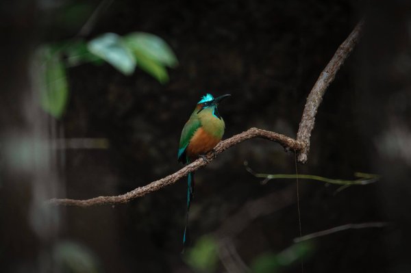 Poêle à granulés canalisable : pourquoi ce choix?